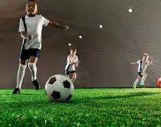 葡萄牙巨星,罗总收入超,足球界独占,开云体育,开云体育官网,开云体育app,开云体育平台,KAIYUN,SPORTS,kaiyun登录入口