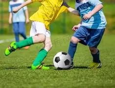 杨幂团队发,布声明驳斥,谣言,开云体育,开云体育官网,开云体育app,开云体育平台,KAIYUN,SPORTS,kaiyun登录入口