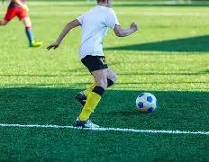 赵露思谈,寄居蟹,现状,开云体育,开云体育官网,开云体育app,开云体育平台,KAIYUN,SPORTS,kaiyun登录入口