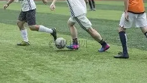 开云体育app下载 资讯 101144 b2g