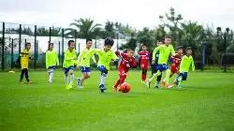 开云体育app下载 产品 101455 bpa