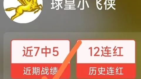 开云体育下载 135951 45